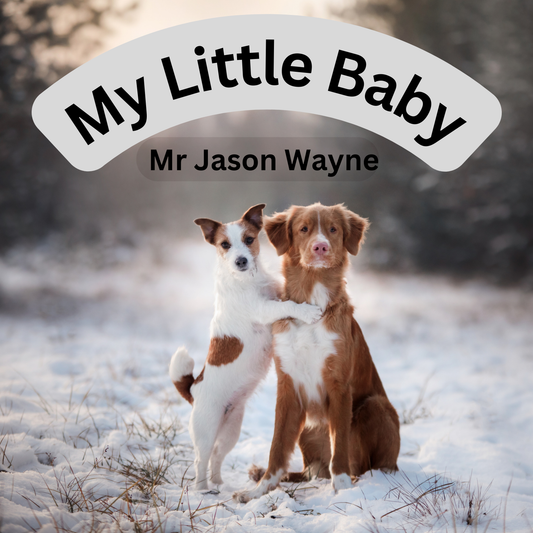 Single - My Little Baby