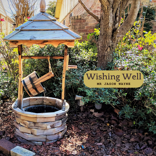 Single - Wishing Well